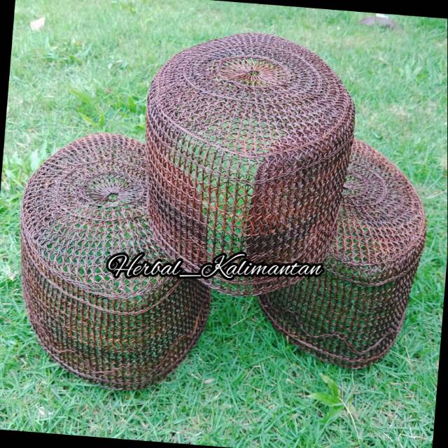 Peci Akar Jangang Asli Kalimantan