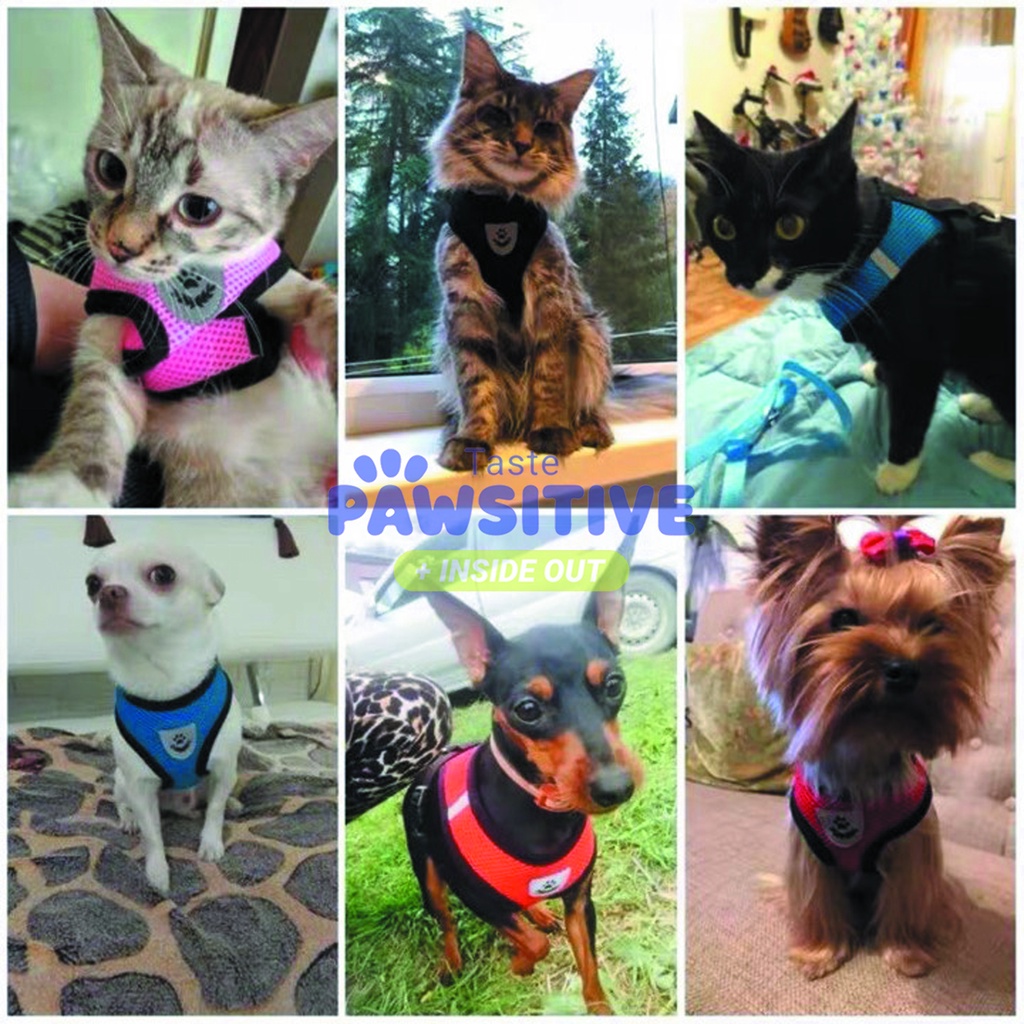 Tali Kucing Harness Anjing Kucing TALI TUNTUN KUCING TALI Anjing HARNESS KUCING ROMPI BAJU KUCING