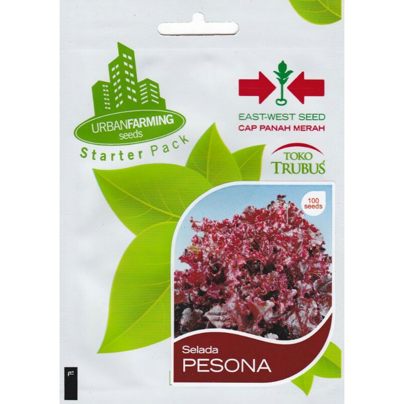 Benih Selada Merah Pesona Cap Panah Merah Personal Pouch 100 Seed
