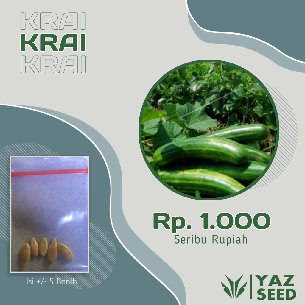 bibit benih biji sayuran tanaman sayur timun krai bibit mentimun jawa