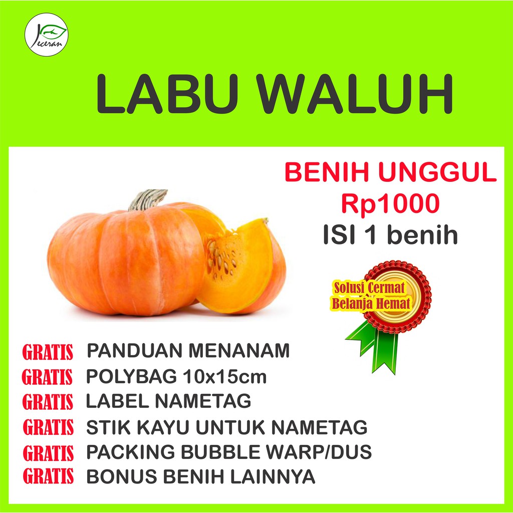 Benih Bibit Labu Waluh Eceran