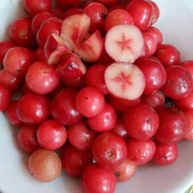 

Buah Loba - lobi 500 gr