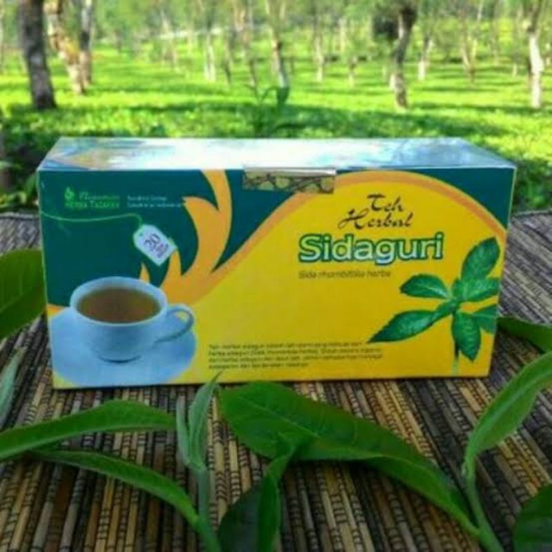 

teh celup sidaguri baik untuk nyeri sendi