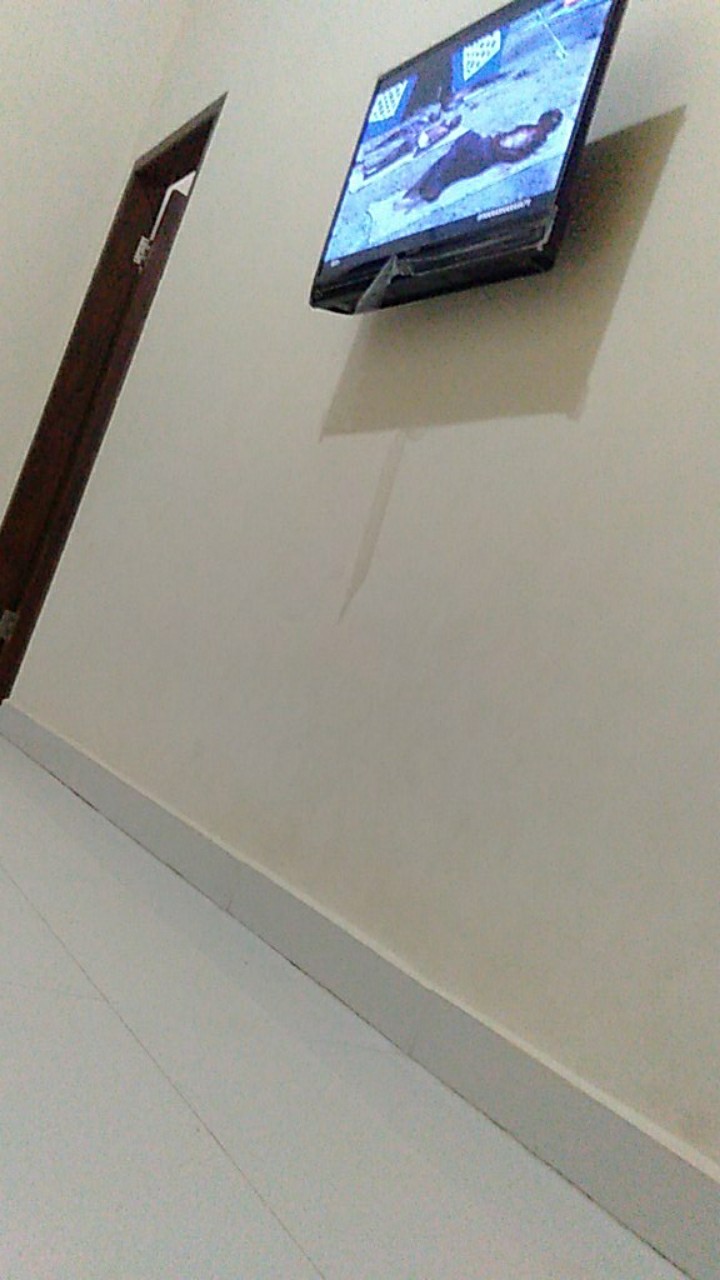 Mika Telur Tanpa Pengunci 50 Pcs Isi 10 Telur / Mika Telor / Tempat Telor