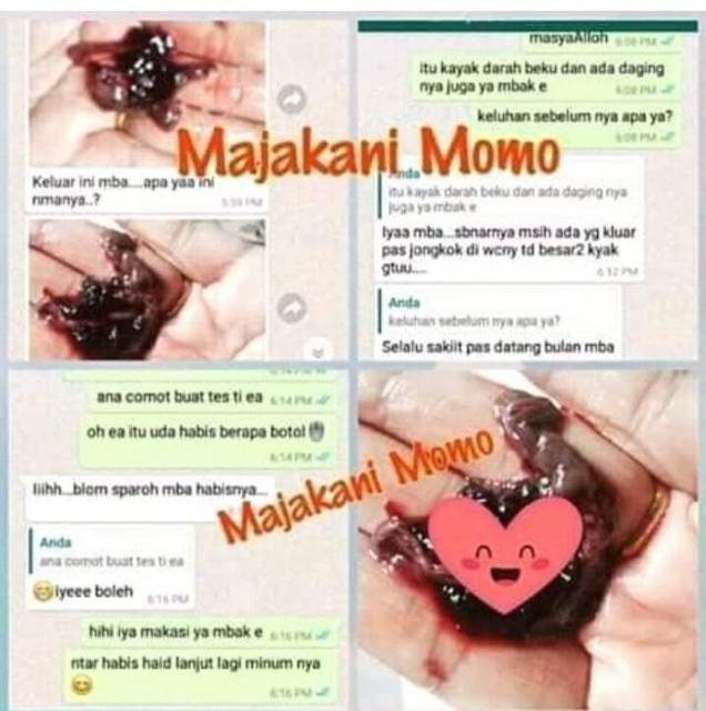 Manjakani Momoidea Berhologram Original Shopee Indonesia