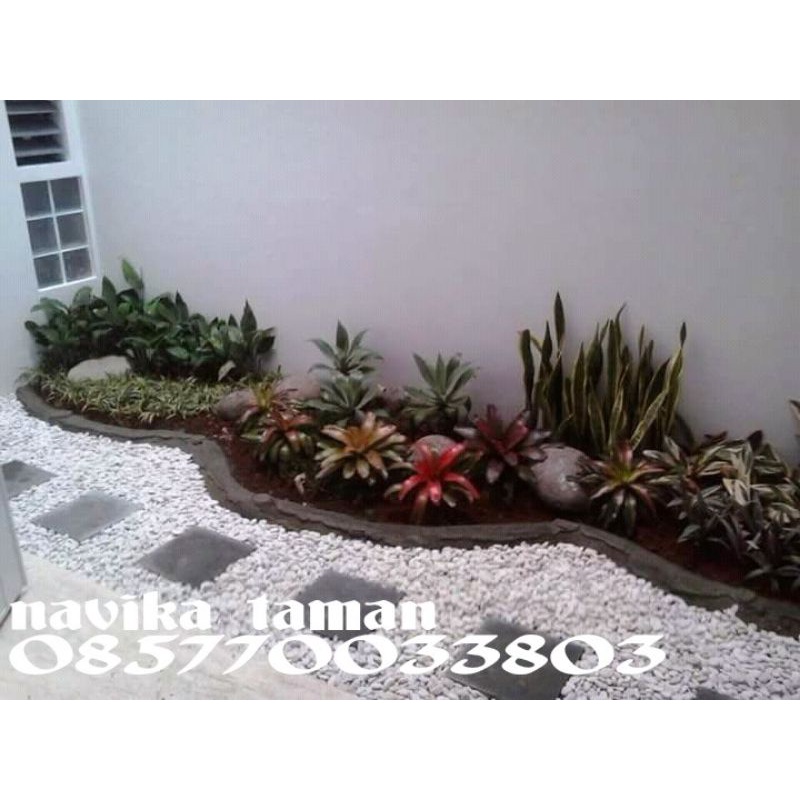 Tukang Taman - Taman Kering Minimalis - Dekorasi Taman Rumah