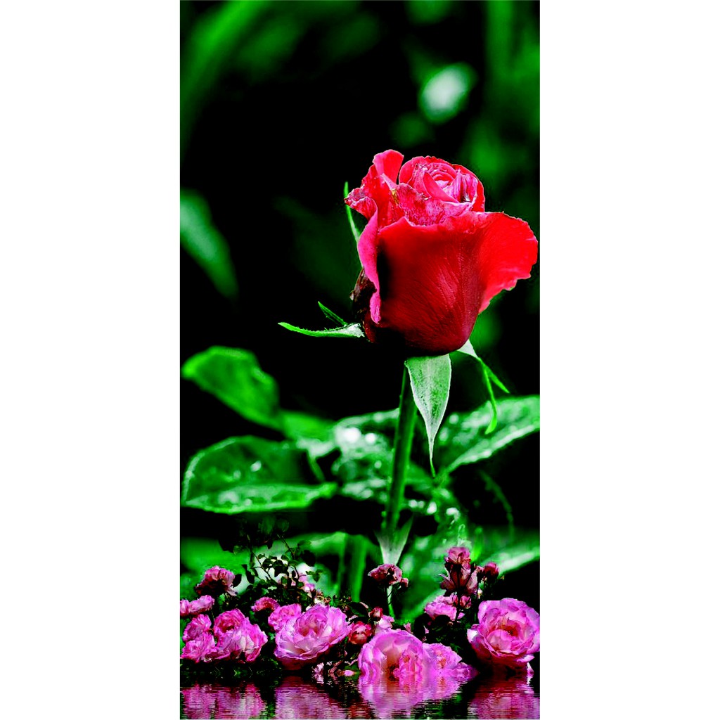 Stiker kulkas bunga Mawar