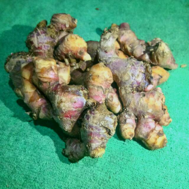 

Jahe merah harga pasar