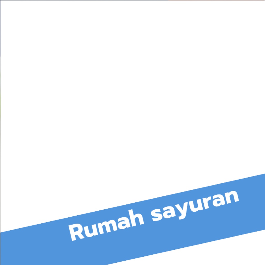 

Sayurbox Mitsuba Conventional 35 gram