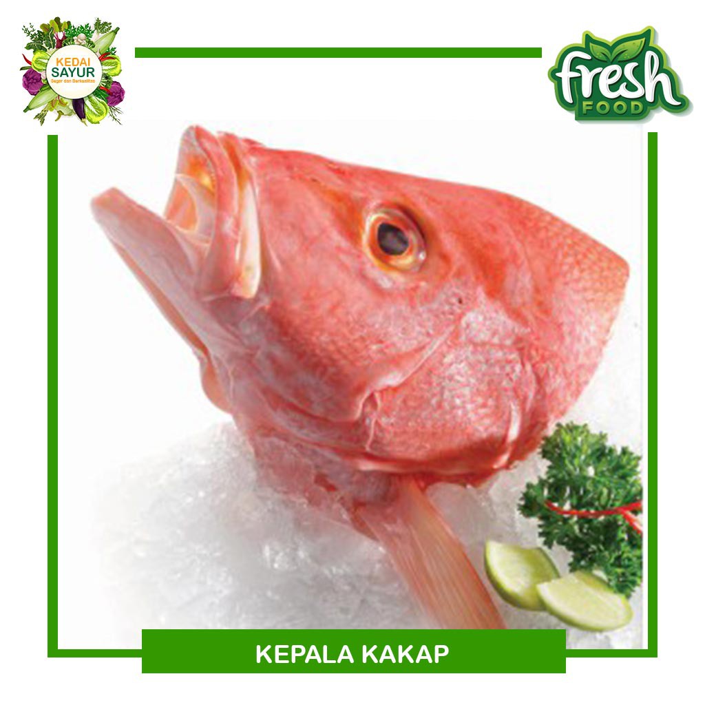 

Kepala Kakap 500 Gram - Gerai Sayur Hasil Laut Segar Depok