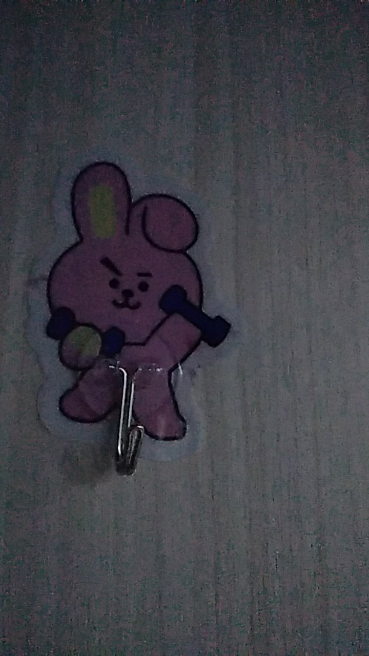 Gantungan Dinding Tempel Bts Bt21