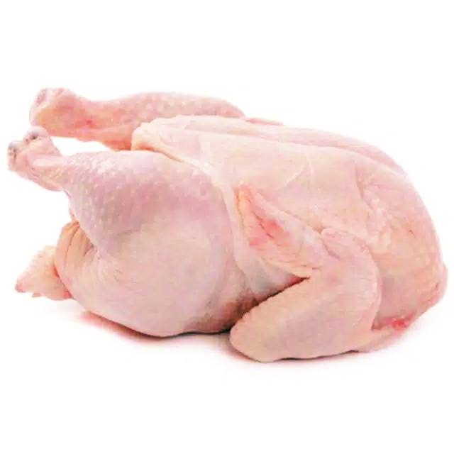 

Ayam Broiler