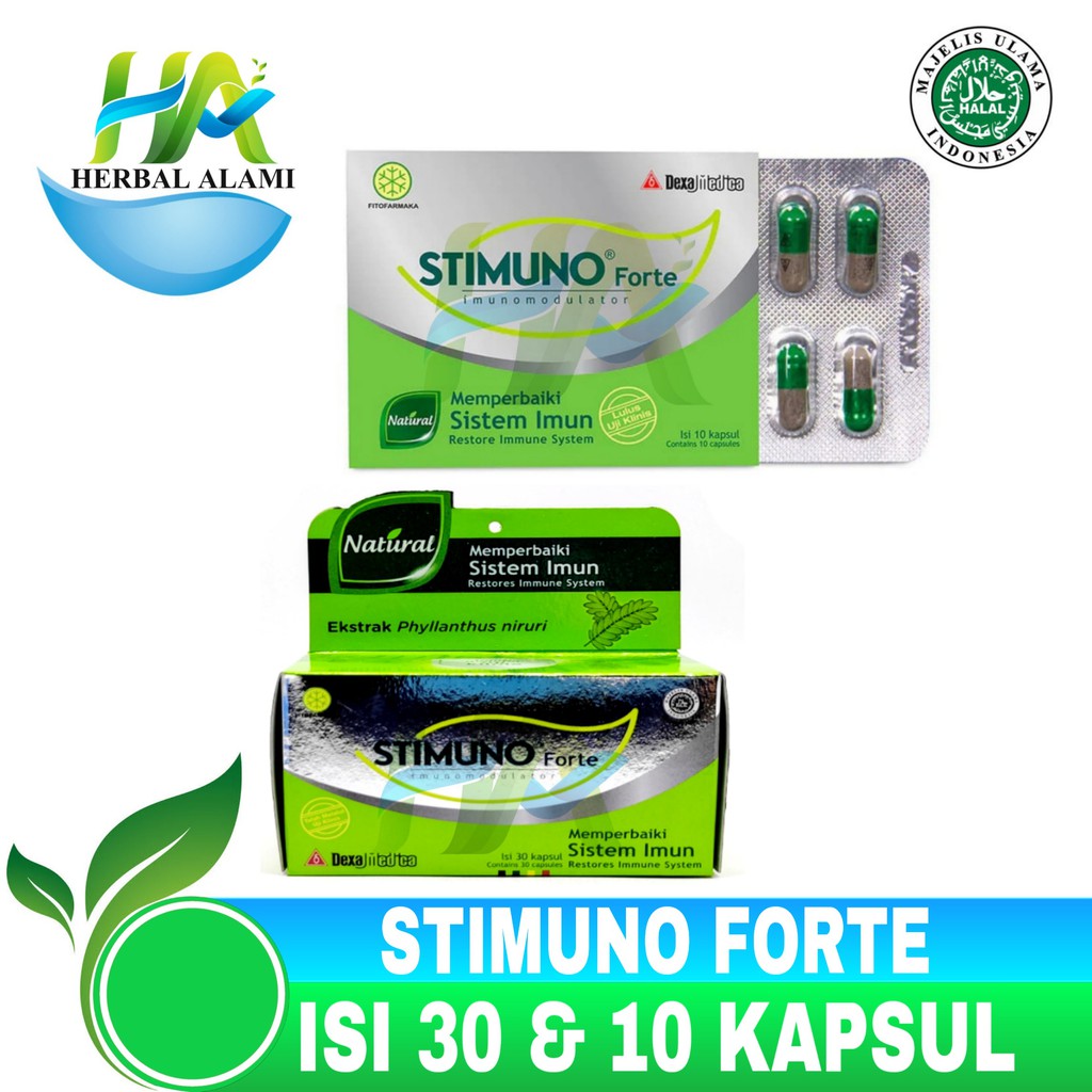 Stimuno Forte - Memperbaiki Sistem Imun