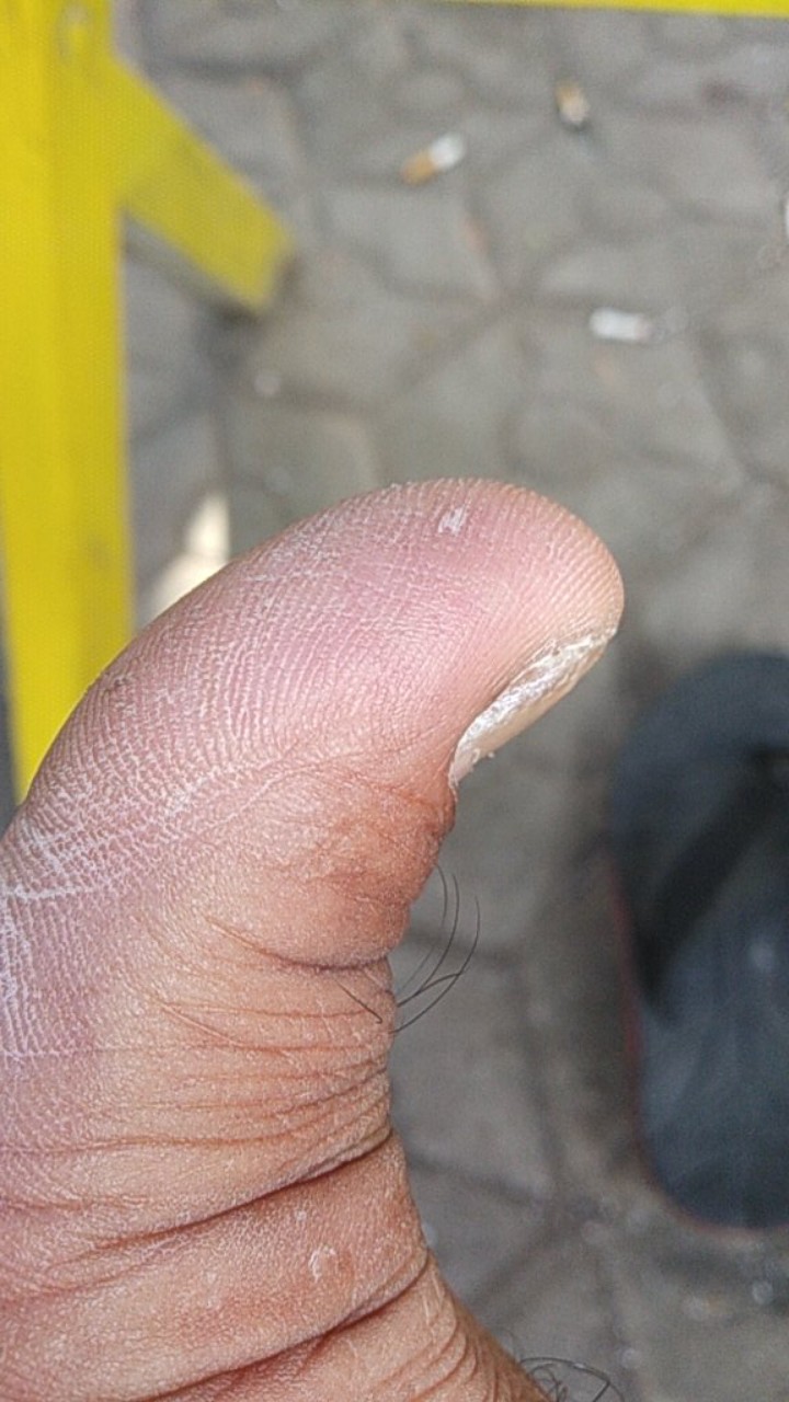 Mg291 Payung Cafe Pantai Jualan Payung Tenda Parasol 180cm