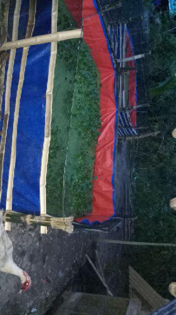 Terpal Kolam Ikan Uk[150x100x50] Type A12 Korea Original% Sangat Cocok Buat Ternak Lele Dan Nila