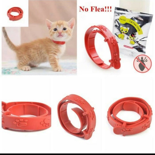 KALUNG ANTI KUTU MURAH / KALUNG MURAH / KALUNG KUCING ANTI KUTU / OBAT ANTI KUTU / KALUNG CAT ANTI KUTU