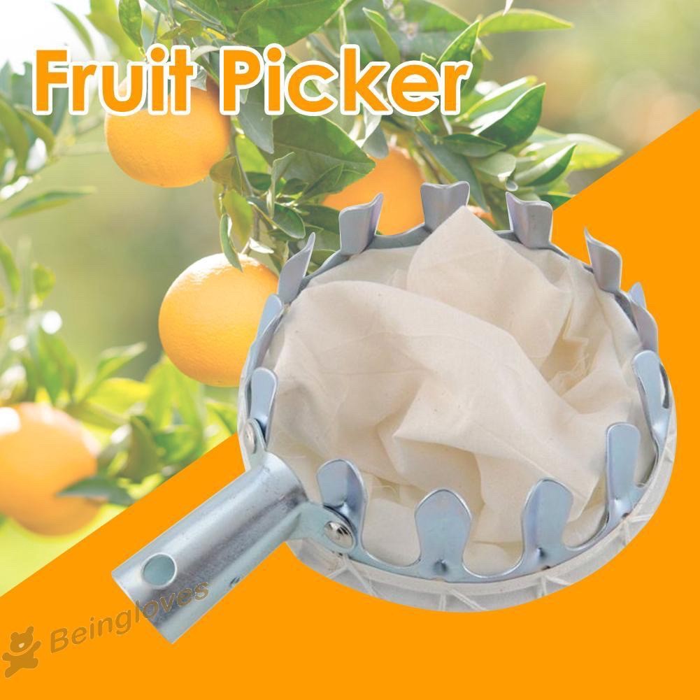 Alat Pemetik Buah Metal Fruit Picker Alat Bantu Petik Buah Uk 14CM