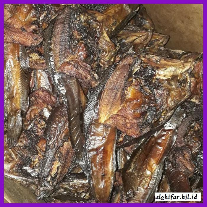 

Makanan-Kering- Ikan Sale/Lele Asap -Aneka.