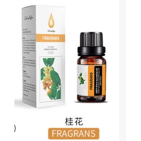 Goojodoq Air Aroma Mini Humidifier / Aromatherapy Purifier Diffuser Memberikan 1 Oil Essential-Fragrans Oil