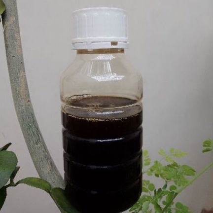 

Madu Asli Murni Trigona Klanceng Kelanceng Lanceng Itama 500 Gram