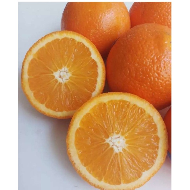 Jeruk Sunkist Navel Valencia 500gram -1 kg
