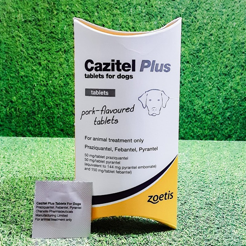 Cazitel Plus for Dogs Per Tablet