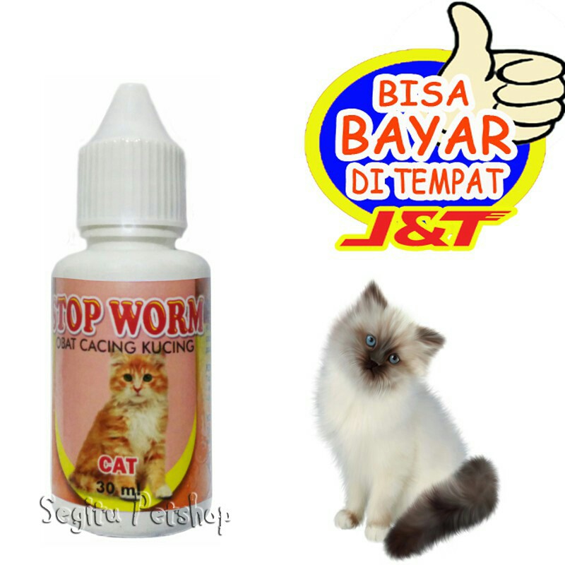 OBAT CACING KUCING CACINGAN LARVA STOP WORM