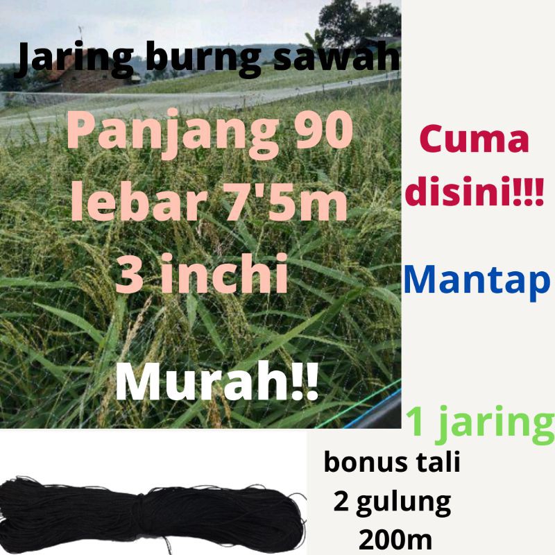 JARING BURUNG JARING PADI JARING EMPRIT JARING SAWAH 7,5x 90 METER JEBAKAN PERANGKAP BURUNG JARING