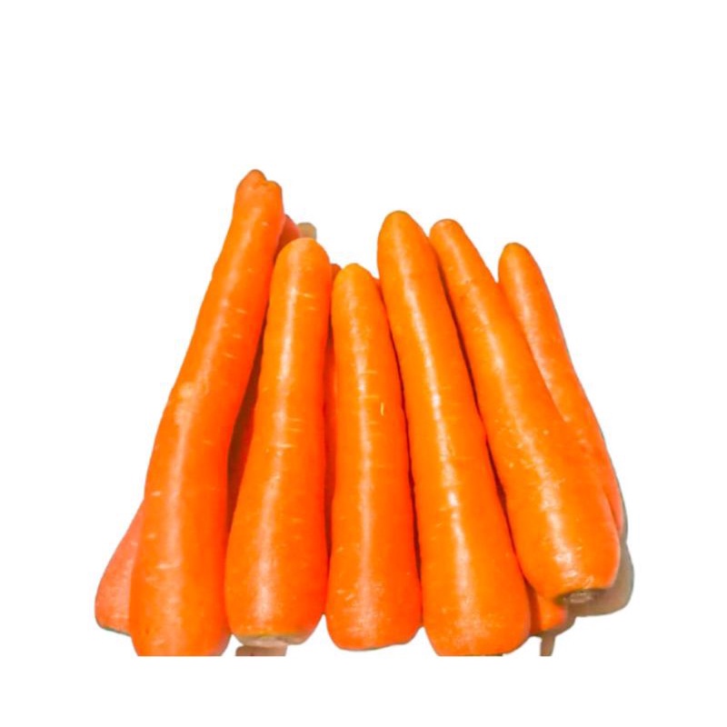 

Wortel Import fresh
