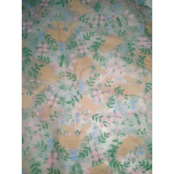 Jas hujan Dewasa Eva Terusan Transparan Motif / Unik &amp; Lucu / Korean style