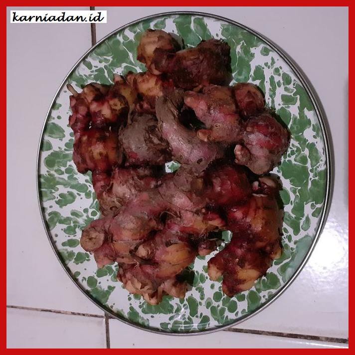 

lanoisidartdrink- jahe merah segar 500 gram -asliii-bngittt.