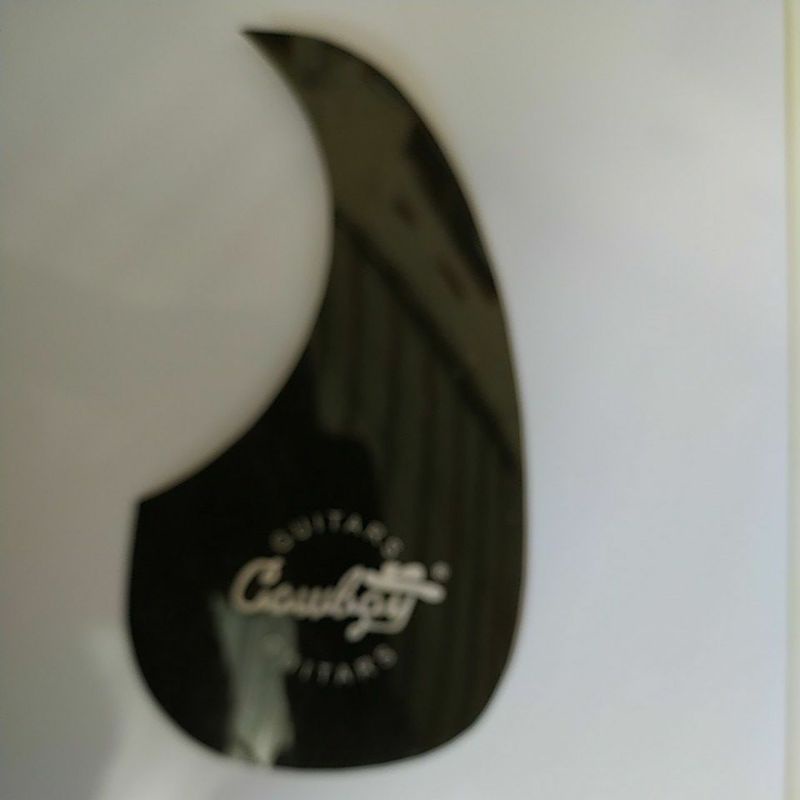 Pickguard  pelindung gitar/Bescemer