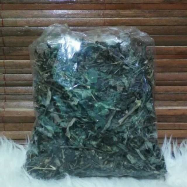 

daun sambiloto kering - obat herbal diabetes 100gr