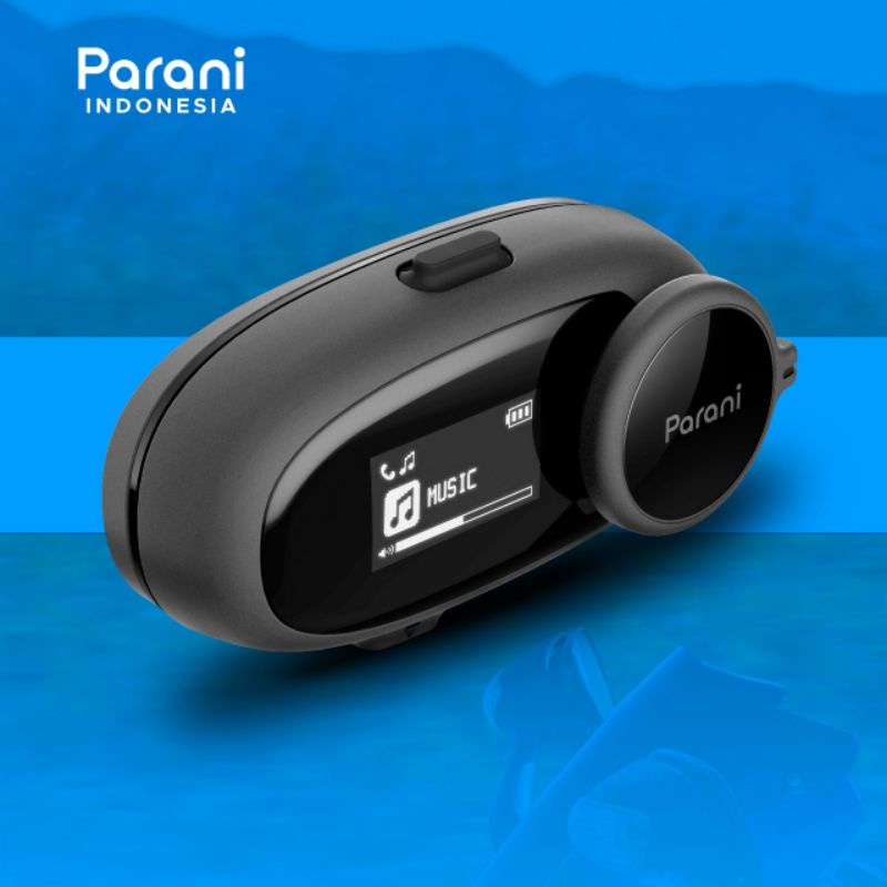 Parani Interkom M10