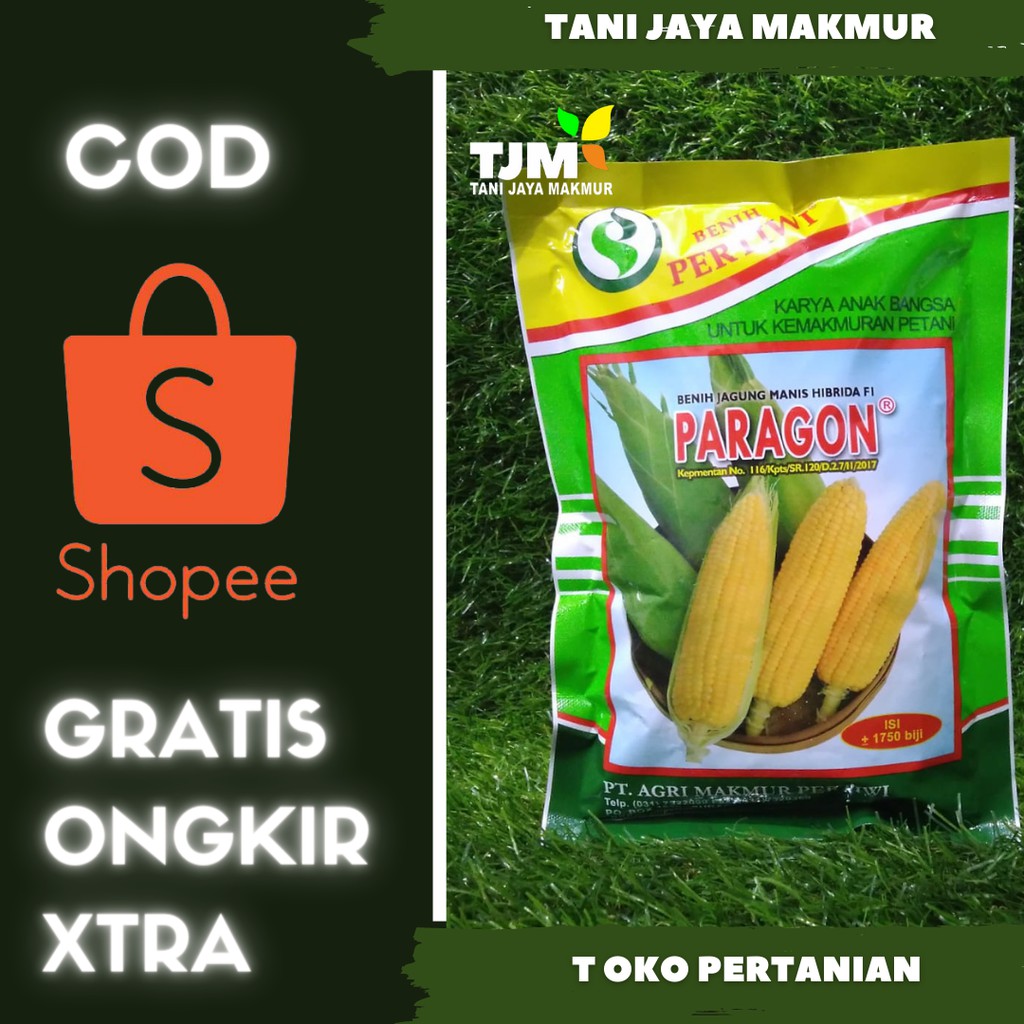 Benih Jagung Manis Paragon Isi 1750 Biji Shopee Indonesia