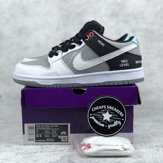 nike dunk low pro vx1000