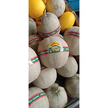 

melon natural farming per kg