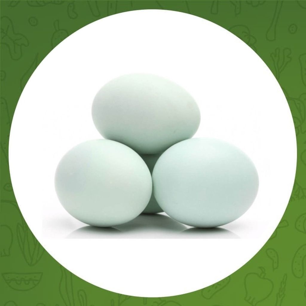 

TELUR BEBEK 1 PCS
