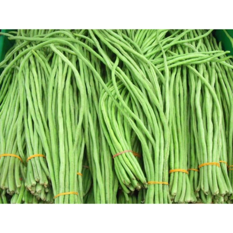 

Pasar Online Segar Murah - Kacang panjang 250gram