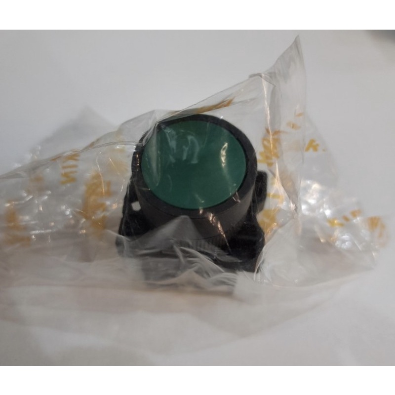 PUSH BUTTON HIJAU 22MM NO/NC 220V