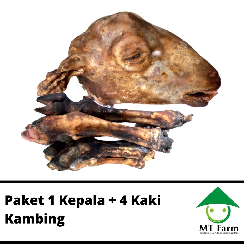 

Kepala Kambing dan Kaki Kambing Satu Paket Kepala Kaki Domba Bersih