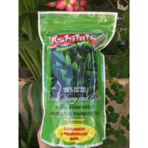 

Teh Ashitaba / Ashitaba Tea 100 gram