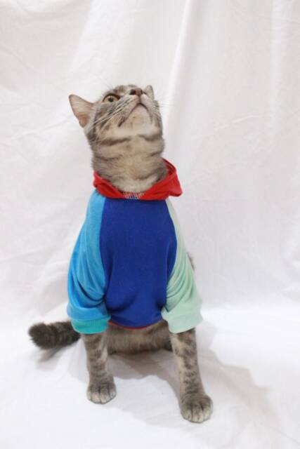 Kaos hoodie jumper harley queen untuk kucing dan anjing size S-XL / baju kucing murah 2019