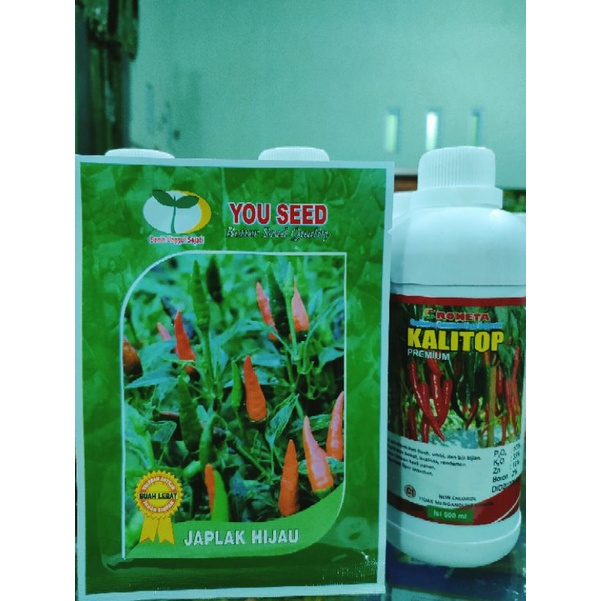 Cabe Japlak Hijau 10gr Tahan Virus Original Pabrik Youseed