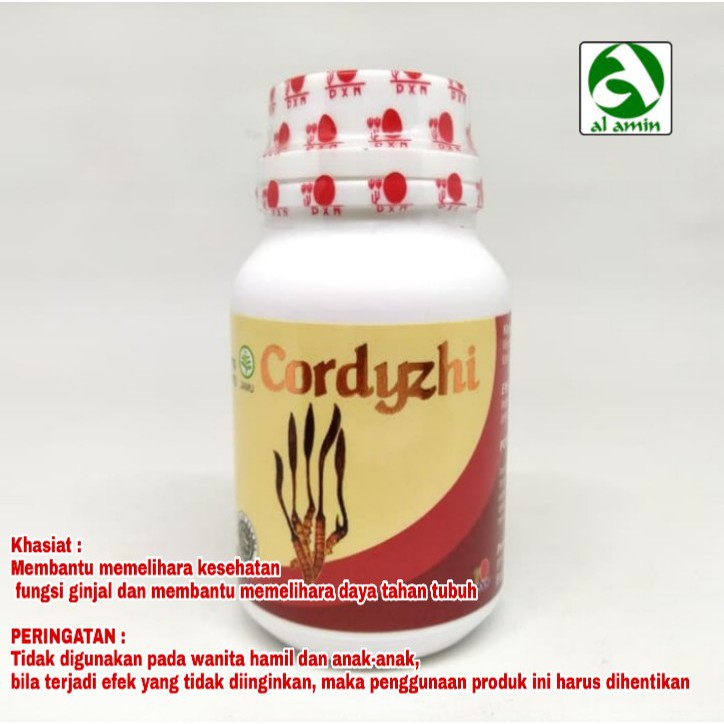 Daxen Cordyzhi DXN isi 90 Kapsul / obat herbal / kapsul herbal