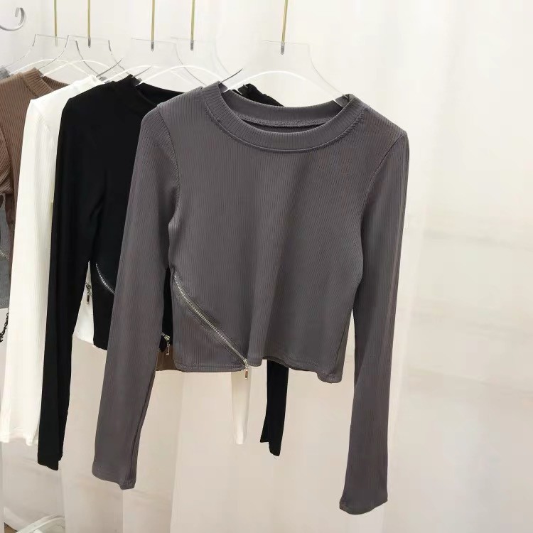 Long  Sleeve Zipper Top