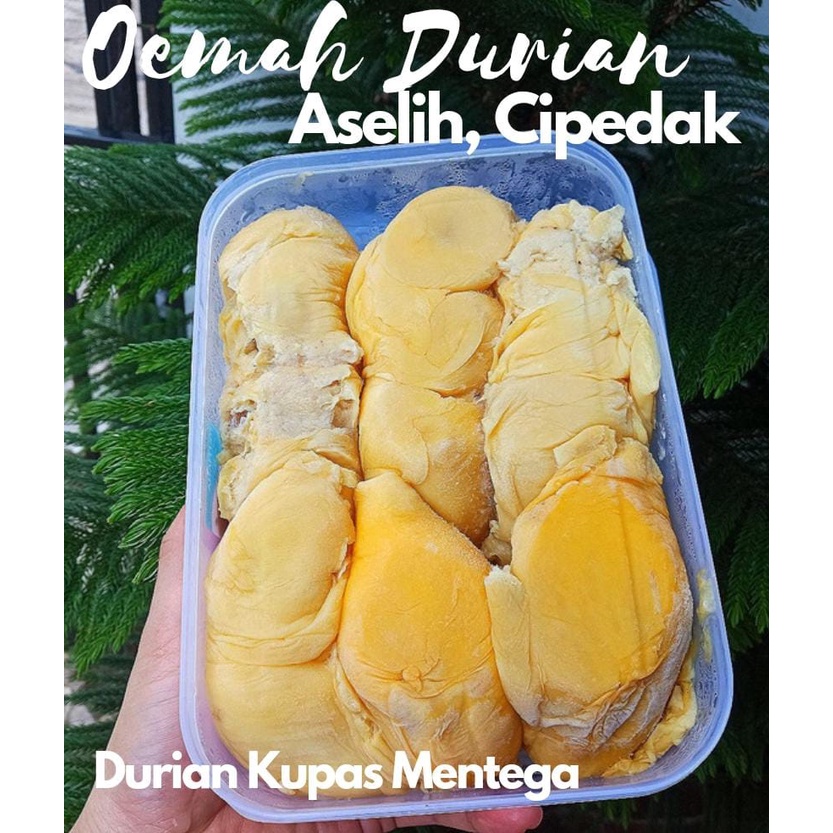 

DURIAN KUPAS MONTONG DURIAN KUPAS MEDAN DAGING DURIAN FROZEN FOOD