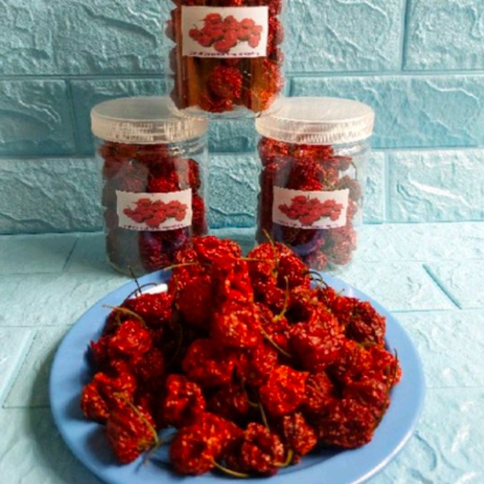 

Buah Kering - Jar Cabe Kering Carolina Reaper (Sekitar 50 Buah) Cabe Terpedas Dunia