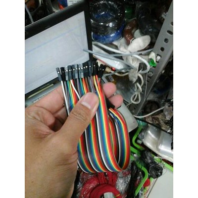 kabel jumper female female 1pin harga per pin cuma 1pin