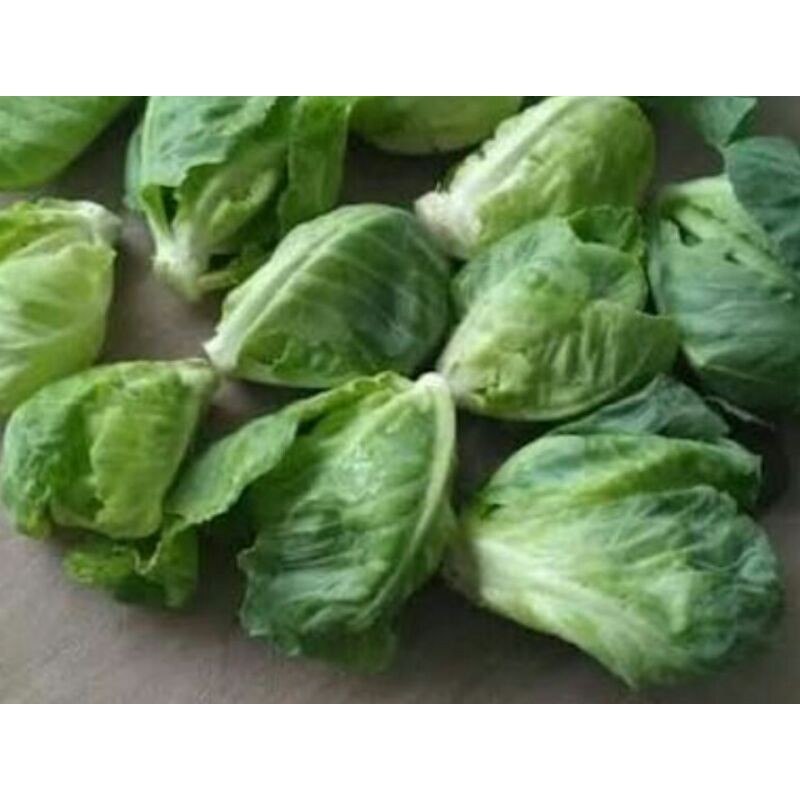 

Daun Keciwis Lalapan/250gr